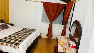 Casa Patagónica, Punta Arenas - Punta Arenas - 7