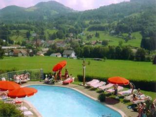 Chalet in France with Pool & Jacuzzi - Le Ménil - 5