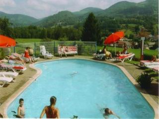 Chalet in France with Pool & Jacuzzi - Le Ménil - 6