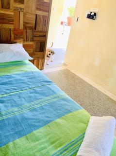 Villa Bonobo - Coliving - Puerto Escondido - 9