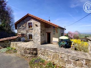 Gîte spacieux avec jardin, terrasse, et parc proche du château - 6 pers., animaux acceptés - FR-1-496-102 - Fontanès - 3