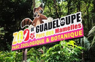 Entre Nature et fonds marins - 6