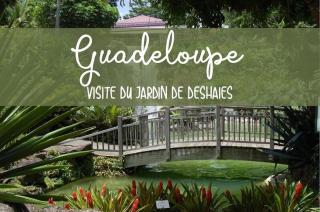 Entre Nature et fonds marins - 5