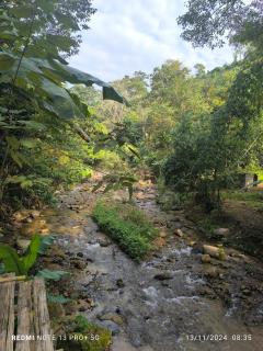 Hill Tribe Art House (Lahu & Akha Homestay) - 7