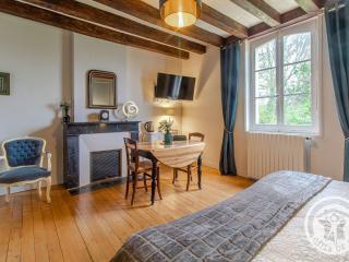 Chambres d'hôtes élégantes proche Loire avec parc et piscine - FR-1-622-114 - La Menitré - 1