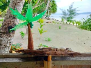 Dorey Dive Homestay - - 5