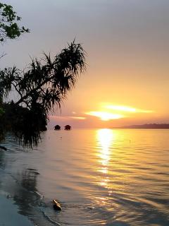 Dorey Dive Homestay - - 1