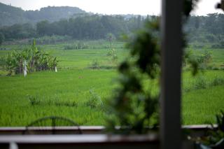 Villa Sare - House with panorama rice field view - Yogyakarta - 3