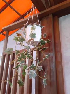 グランガ-デン南木 - 5