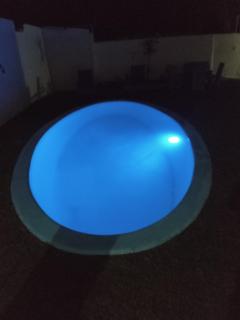 Bromelias Imbassai - 7