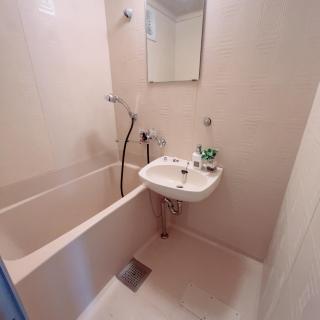 ヴィオラ菊水 - 1