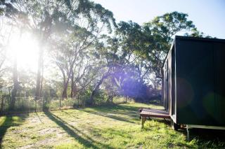Maroota Greens JOY by Tiny Away - - 9
