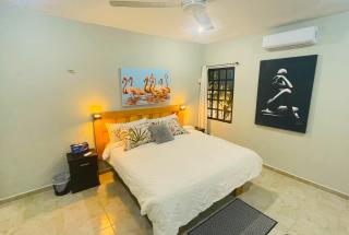 Casa vacacional en Rio Lagartos - Río Lagartos - 8