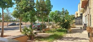 Budget-Friendly Apartment Near AirPort - 2
