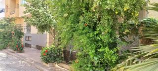 Budget-Friendly Apartment Near AirPort - 4
