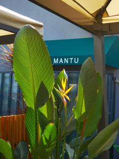 Mantu Youth Hostel - Chengdu - 0