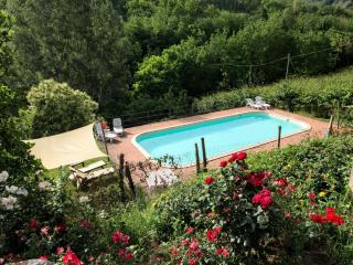 Apartment in Modigliana with swimming pool - Modigliana - 9