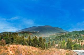 Sunday by CheckIn Premium 5 BHK Villa Mihika, Shimla - 6