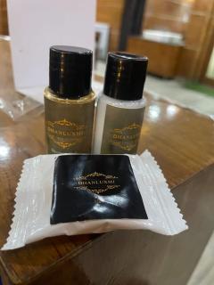 Hotel Dhan Luxmi - 2