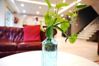 Hotel Diamond Tree At CR Park - 4