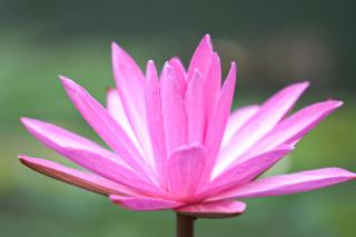 Mekong Long Thanh Resort & Reststop - 6