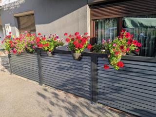 Apartmani Hrastik 1 - 9