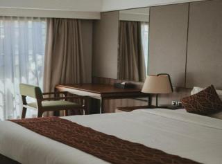 Airport Hotel Olive Aero Suites Near IGI Airport - 2