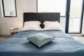Caluna Studio near City Center - 3
