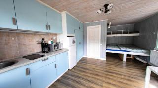 Swedish house - Baia Mare - 1
