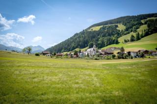 Pension Schneerose - PREMIUM CARD im Sommer - 9