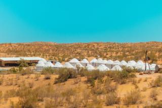Aidar Yurt Camp - 8
