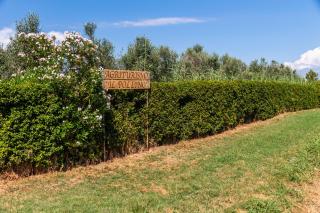 Agriturismo il Pollino - Grosseto - 9