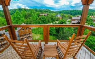 Beary Relaxed - Sevierville - 7