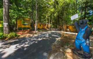 Northern Acres - Lake George - 6