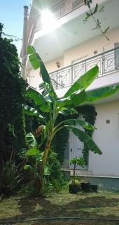 VDA Apartments Kalamata - Kalamata - 7