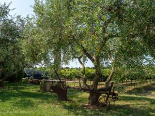 Agriturismo Incaffi - 6