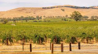 KozyGuru | 3BR Retreat to ADL & Barossa in 40m - 4