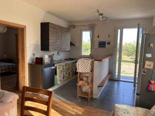 La casetta di Ross - 1