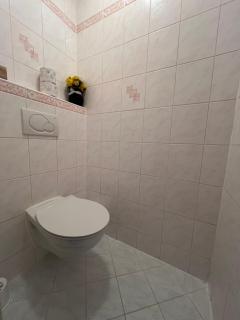 Apartmán Ambassador - Karlovy Vary - 9