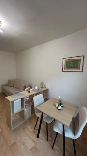Bílý klid nově zrekonstruované studio - Děčín - 7