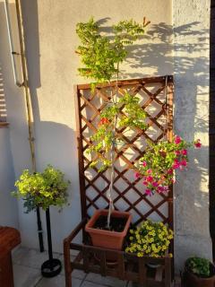 B&B L'arco Fiorito - 5