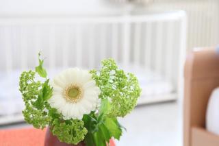 Ferienwohnung Zum Bäckersepp - 4