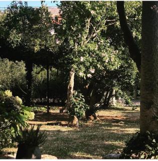 Holiday home with private garden 1200 m2 - Mokošica - 9