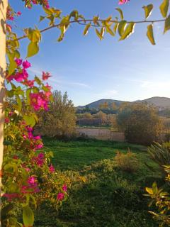 Casa Bougainvillea - San Teodoro - 9