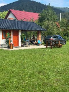 Camping-Dor de Munte - Bistricioara - 2