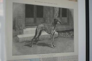 The Greyhound - Falmouth - 3