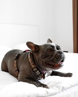 Ultramarinn Hotel - 3