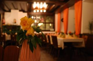 Landgasthof Hotel Zum Roß Dorfgütingen - Feuchtwangen - 6