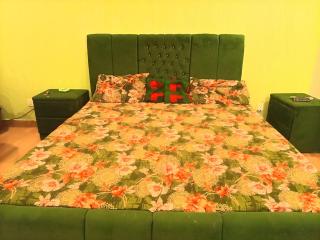 One bed furnished apartment - Rawalpindi - 4