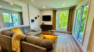 Swimming Pool Spa - Condo Mont Tremblant - 3